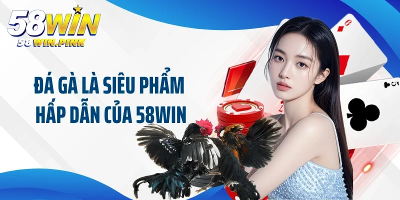 trang chủ 26 Đá gà là siêu phẩm hấp dẫn của 58win